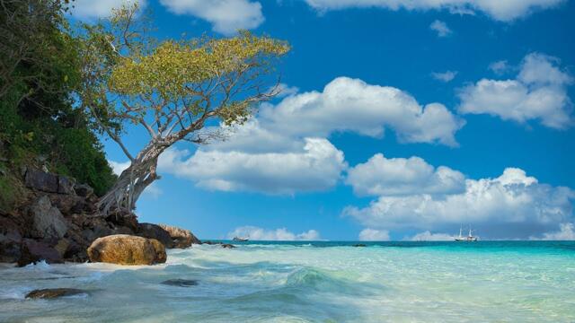 Сергей Чекалин  🎶"Океан Моей Мечты"