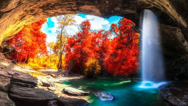 Красивая музыка! Сборник ЛУЧШИХ Мелодий от которых мурашки по телу! Цветы красиво распускаются #4