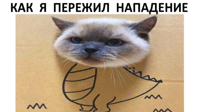 Мемы и приколы с котами #приколы #мемы2022 #прикол #юмор