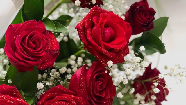 Самая красивая мелодия на свете, Затрагивающая Самые Сокровенные Уголки Души! Цветы распускаются #2