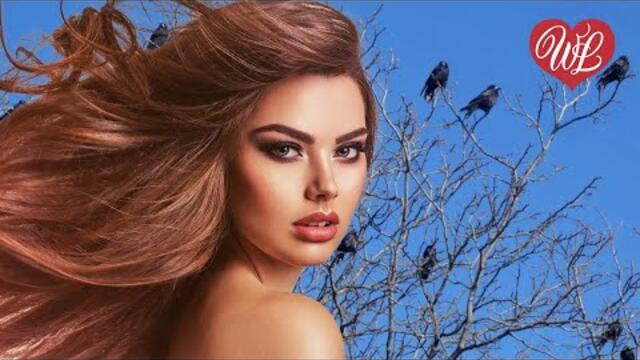 Александр Розенбаум   -    ГРАЧИ