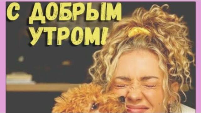 С ДОБРЫМ ПРЕКРАСНЫМ УТРОМ