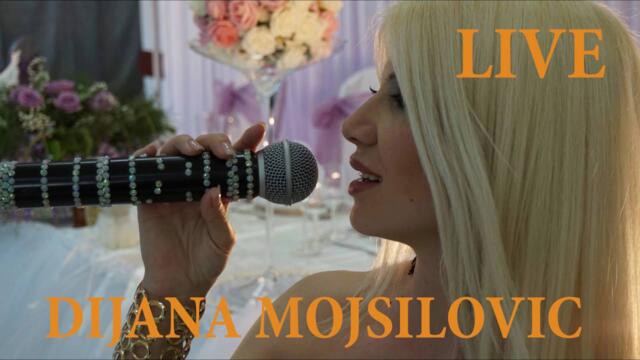 LIVE Dijana Mojsilovic (Tijana Stojic - Pocrveneo) | UZIVO