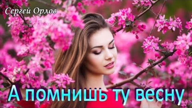 Сергей Орлов   -   А помнишь ту весну