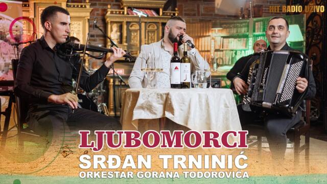 Srdjan Trninic - Ljubomorci (orkestar Gorana Todorovica)