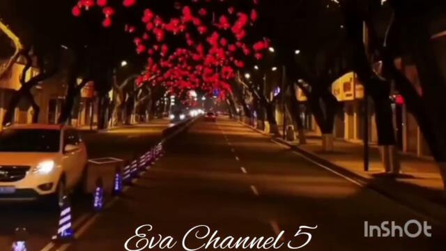 Ион Суручану.Красивая песня