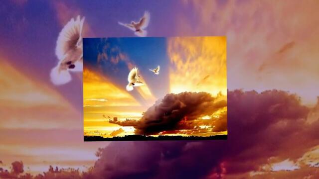 Владимир Щеглов  -   Этой жизни мне не хватило. душевная песня.