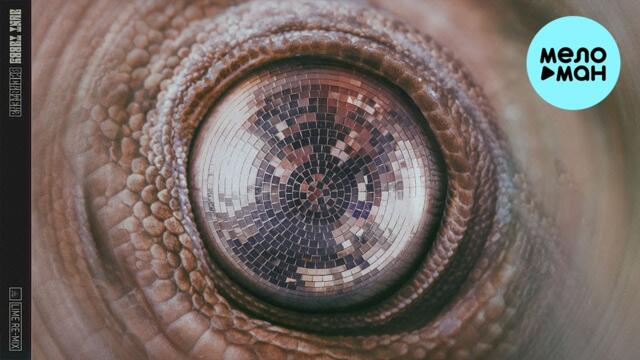 AUNT TABBY - ДИСКОТЕКА