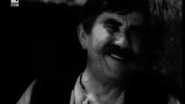 🎥 Гераците (1957) 🤍💚❤️