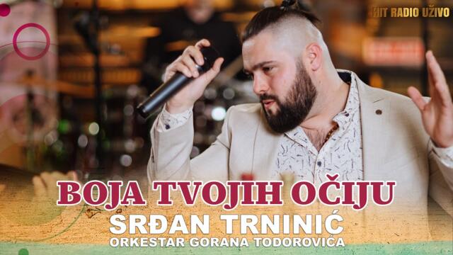 Srdjan Trninic - Boja tvojih ociju (orkestar Gorana Todorovica)