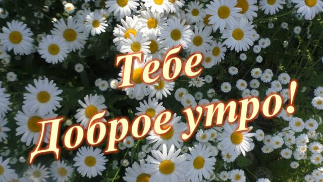 Доброе утро! Самое красивое пожелание доброго утра💌
