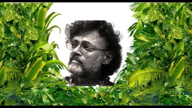 Terence McKenna - Full Lecture -Black Screen - Nature Sounds