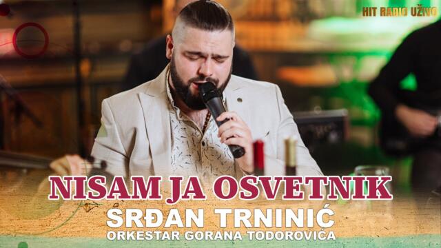 Srdjan Trninic - Nisam ja osvetnik (orkestar Gorana Todorovica)