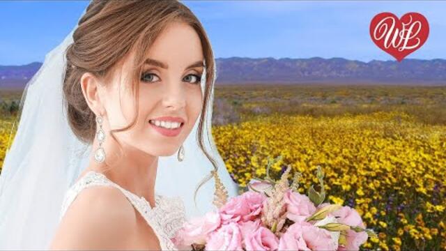 Виктор Королёв    -   СВАДЬБА