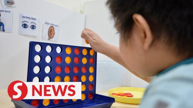 Autism council to be formed by this year, says Khairy