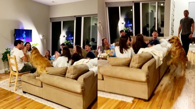 'Dog receives a warm welcome from her human friends '