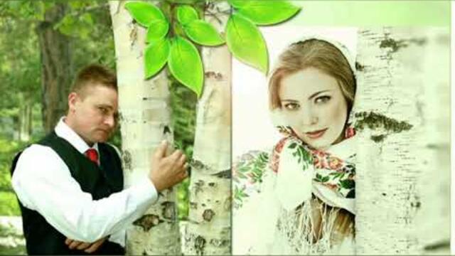 Кудрявый клен.