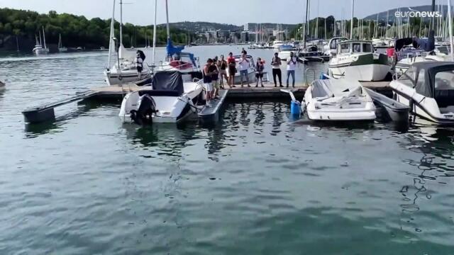 Freya the walrus: Boat-sinking giant gets up to mischief in Oslo