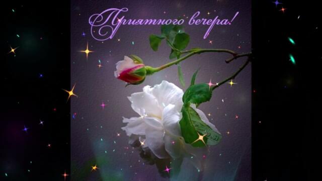 Добрый  вечер!   Ирина  Билык  и  Сергей  Зверев  -  Две  родных  души