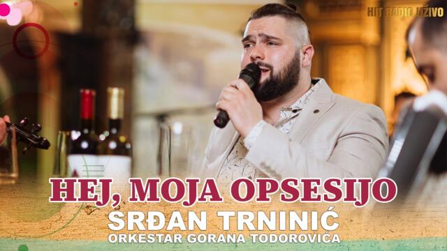 Srdjan Trninic - Hej moja opsesijo (orkestar Gorana Todorovica)