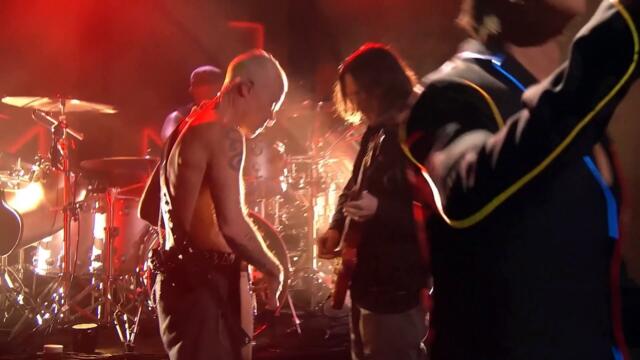 Les Red Hot Chili Peppers chantent "Black Summer" en live