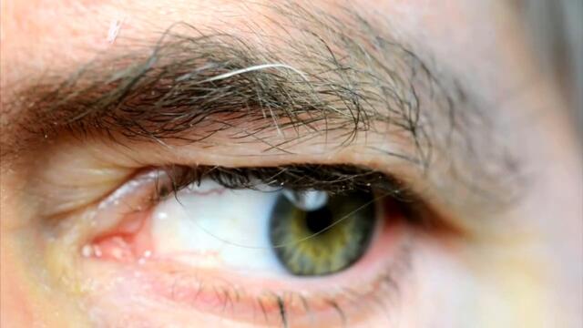 Don't Pluck Gray Hair; Here's Why!