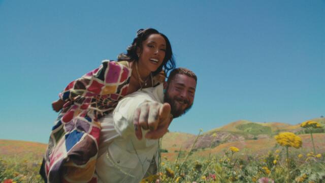 Post Malone - I Like You (A Happier Song)