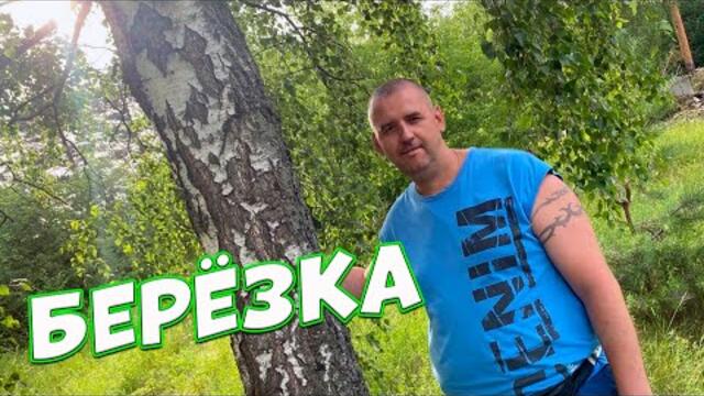 Сергей Одинцов  -  БЕРЁЗКА