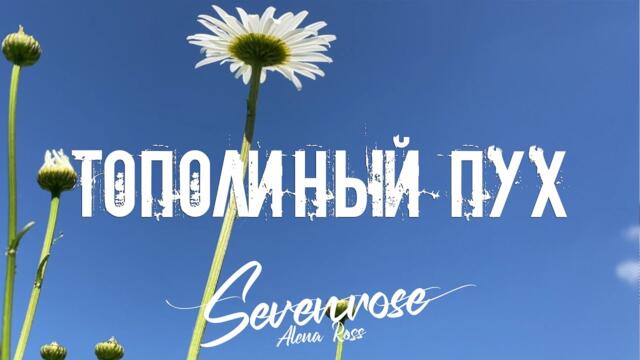 SEVENROSE feat. Алена Росс   -   ТОПОЛИНЫЙ ПУХ