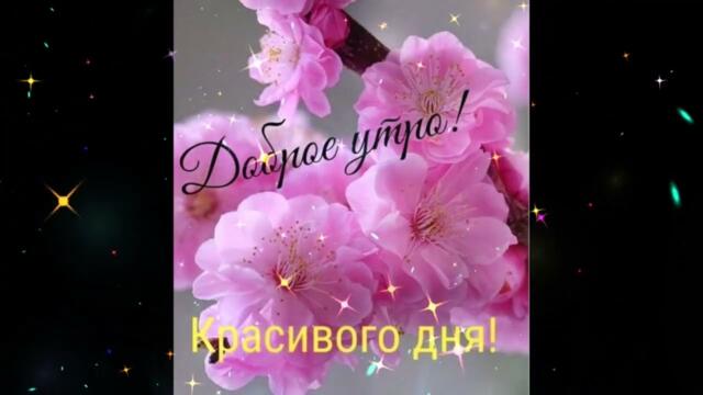 Доброе  утро!  Ирина  Билык  -  У  Ветра   Есть  Тайна