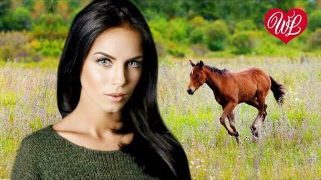 Александр Розенбаум   -   ЖЕРЕБЕНОК