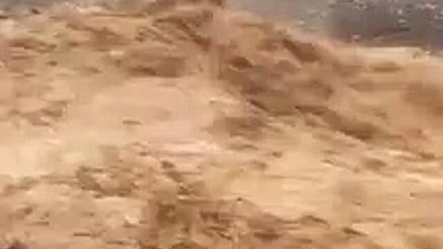 UAE: Heavy rains flood country's wadis