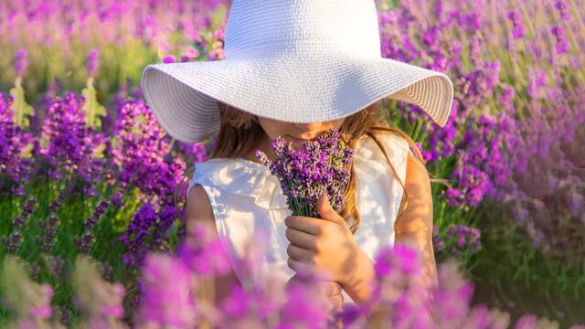 Это Нежная и Красивая, Потрясающая музыка для души! Слушать одно удовольствие