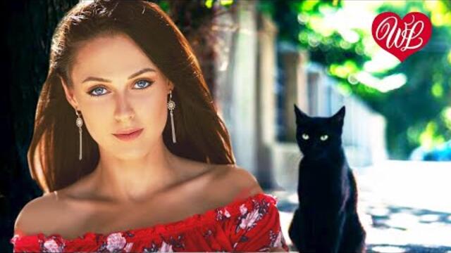 Валерий Сюткин  -  ЧЕРНЫЙ КОТ