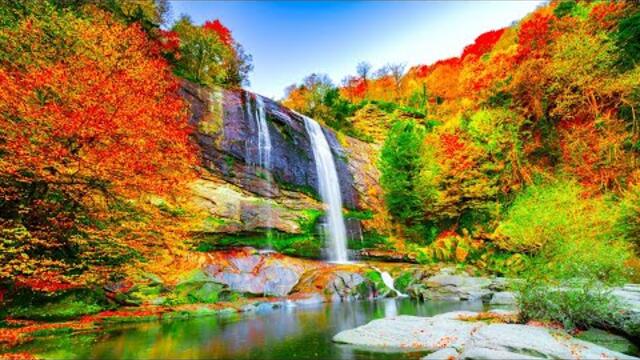 Самая красивая мелодия в мире! Эту музыку можно слушать вечно! Музыка Сергей Грищук