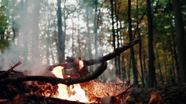 Campfire Ambience. Made for Study, Relaxation & Sleep, Enjoy