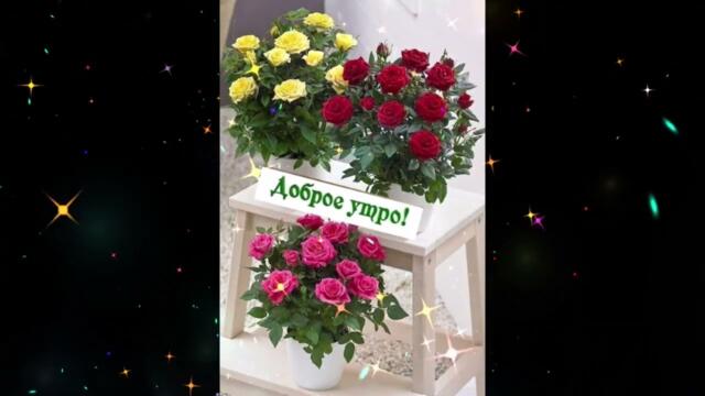 Доброе  утро!   Юлия  Романовская  -  Вот  она  вода