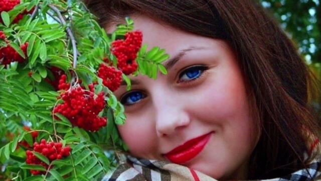 РЯБИНОВАЯ НОЧЬ