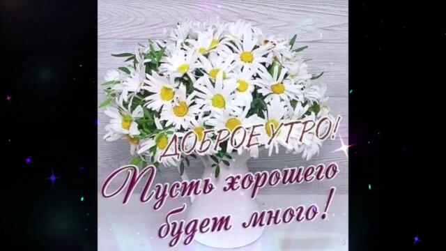 Доброе  утро!    Ксения   Луговая  -  Спасибо