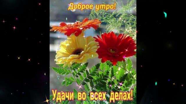 Доброе  Утро!   Евгения  Власова  -  Нет,  я  не  боюсь