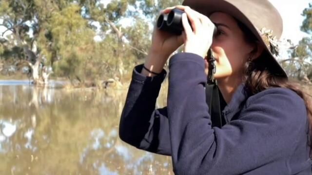 Increased water flows into the South Australian reaches of the Murray River are breathing new life into stressed environmental sites.