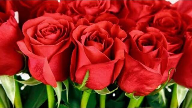 Самая красивая мелодия на свете! Эту музыку можно слушать вечно! Красивая музыка Сергей Грищук