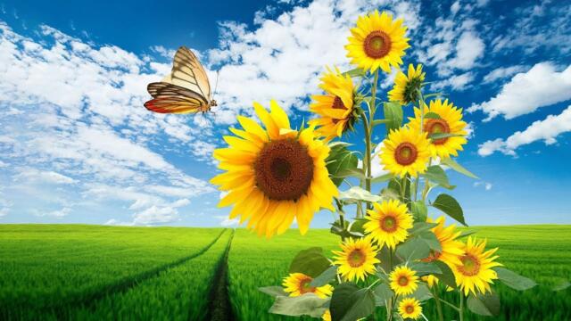 Это Безумно Красивая Мелодия! Музыка дающая энергию! Красивая музыка Сергей Грищук