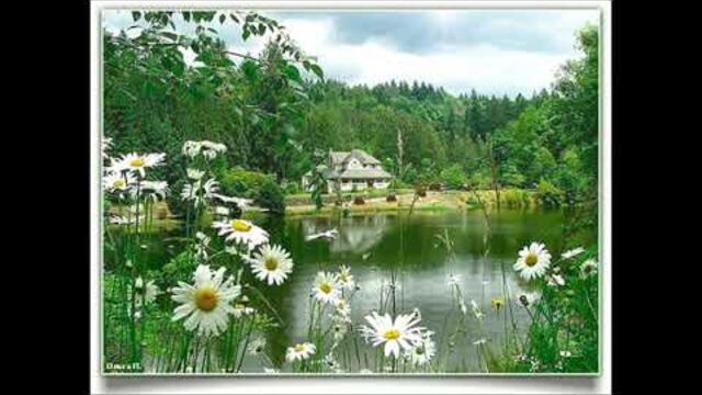 Украинский шансон песни