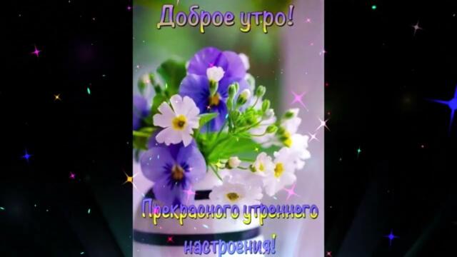 Доброе  утро!   Елена Голицына и Дмитрий Дубинский  -  Мир  Жесток