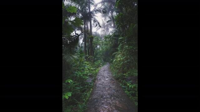 Raindrops- Librorio Conti