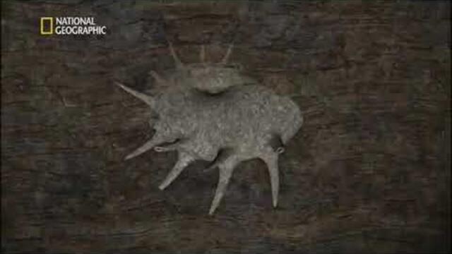 National Geographic - До ядрото на земята (бг аудио)