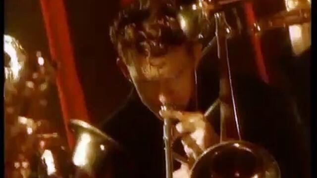 Fever by Grace Knight | Newcastle Herald | August 13, 2022