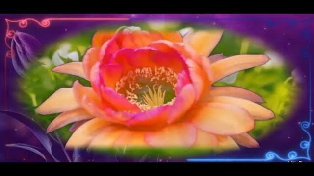 Танец цветов под вальс