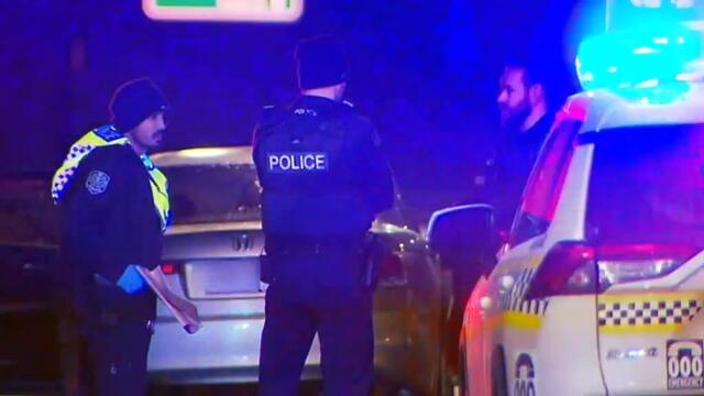 Adelaide mother arrested after allegedly stabbing her two children